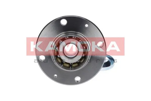 Wheel Bearing Kit (5500007)