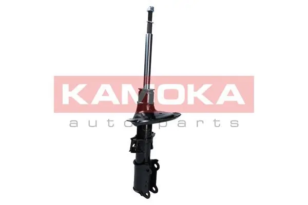 Shock Absorber (2000275)