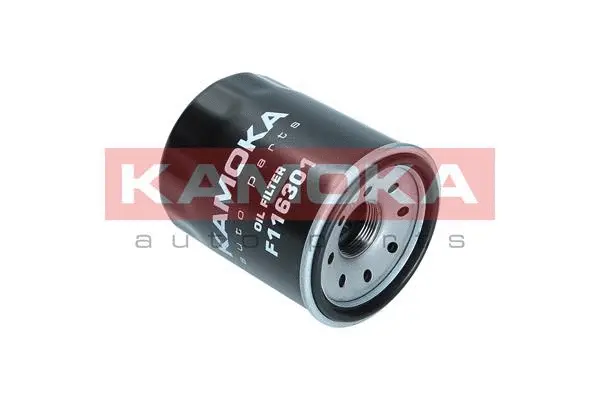 Oil Filter (F116301)