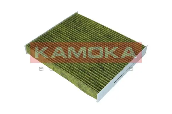 Filter, cabin air (6080110)
