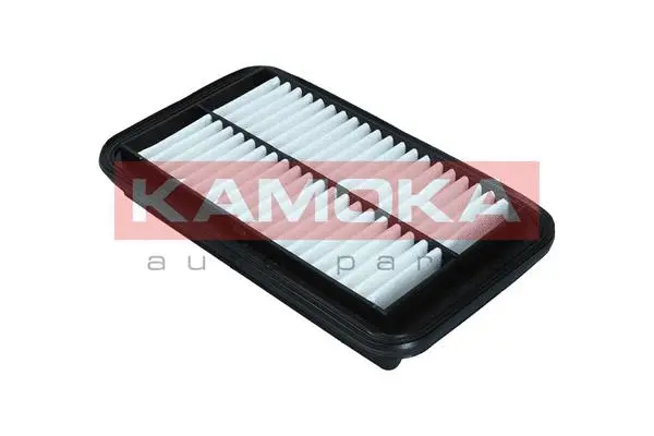 Air Filter (F250101)