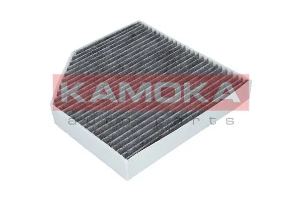 Filter, cabin air (F509301)