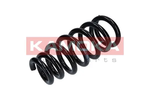 Suspension Spring (2110339)
