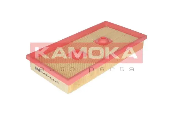 Air Filter (F230801)