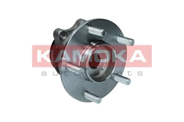 Wheel Bearing Kit (5500221)