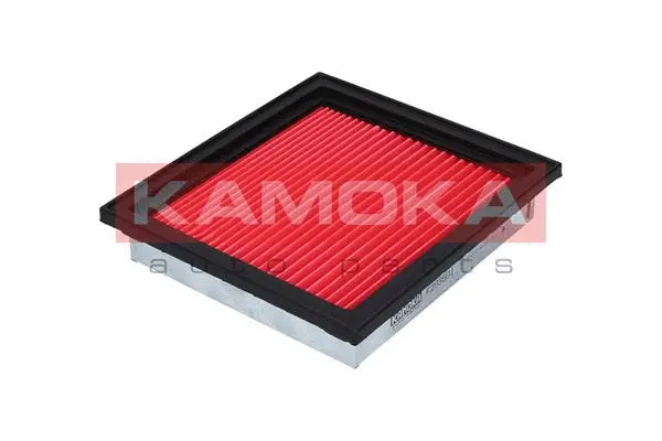 Air Filter (F203501)