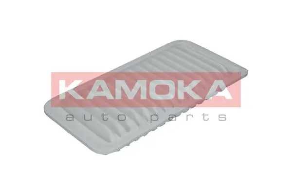 Air Filter (F203801)