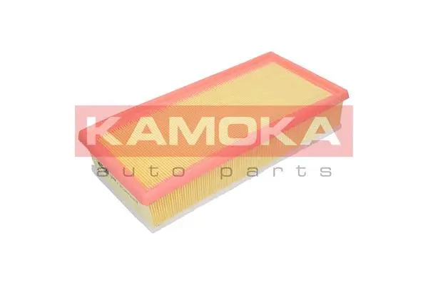 Air Filter (F223301)