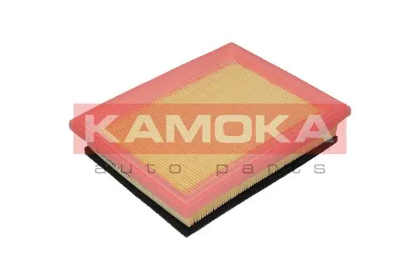 Air Filter (F234801)