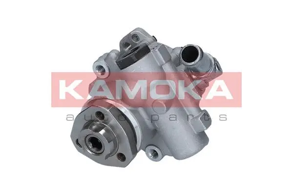 Hydraulic Pump, steering (PP202)