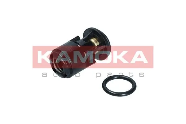Thermostat, coolant (7710094)