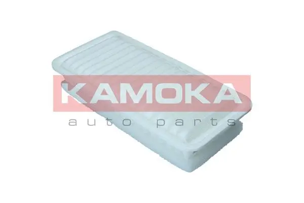 Air Filter (F248601)