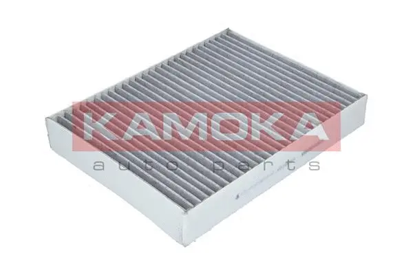 Filter, cabin air (F508701)