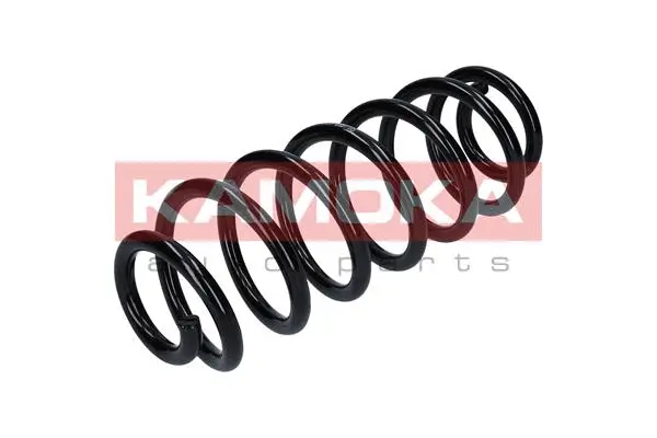 Suspension Spring (2120201)
