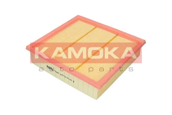 Air Filter (F246601)
