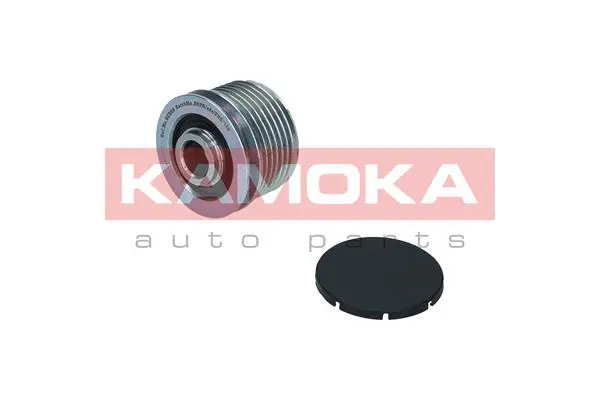 Alternator Freewheel Clutch