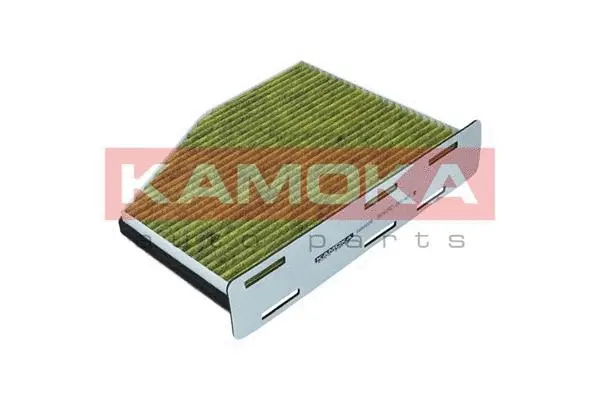 Filter, cabin air (6080008)