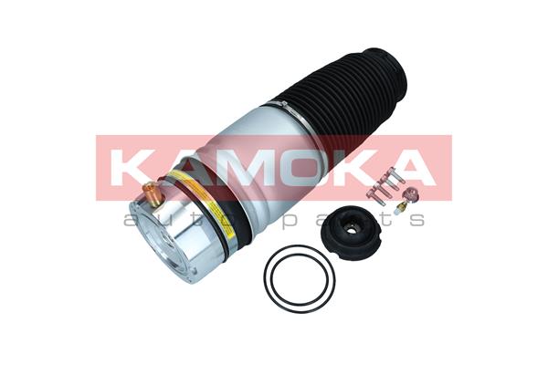 Air Spring, suspension (2079009)