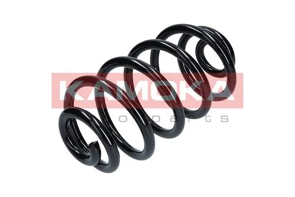 Suspension Spring (2120197)