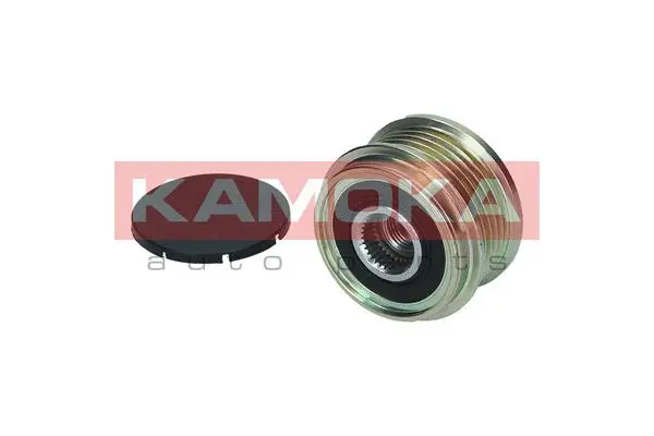 Alternator Freewheel Clutch