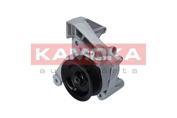 Hydraulic Pump, steering (PP086)