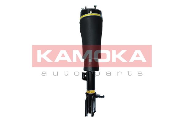 Air Suspension Strut (2070020)
