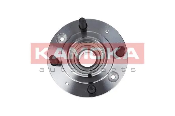 Wheel Bearing Kit (5500039)