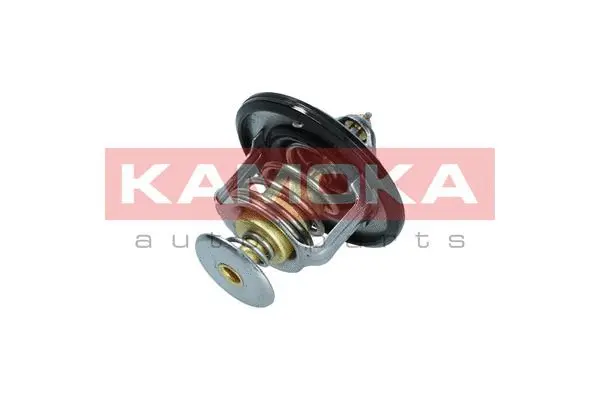 Thermostat, coolant (7710067)