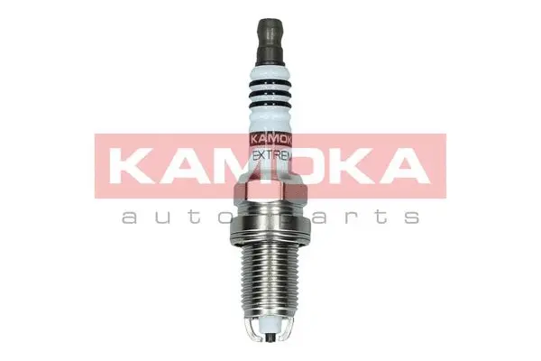 Spark Plug (7100503)