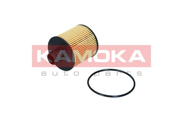 Oil Filter (F121201)