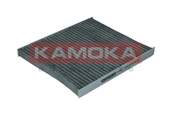 Filter, cabin air (F510701)