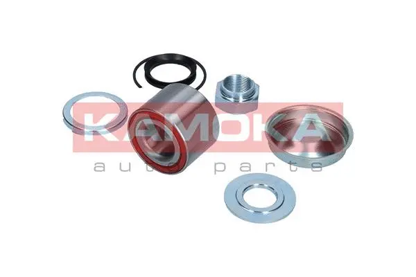 Wheel Bearing Kit (5600070)