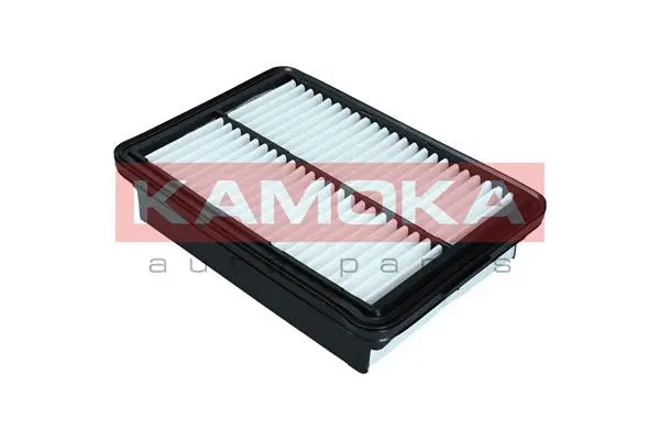 Air Filter (F252001)