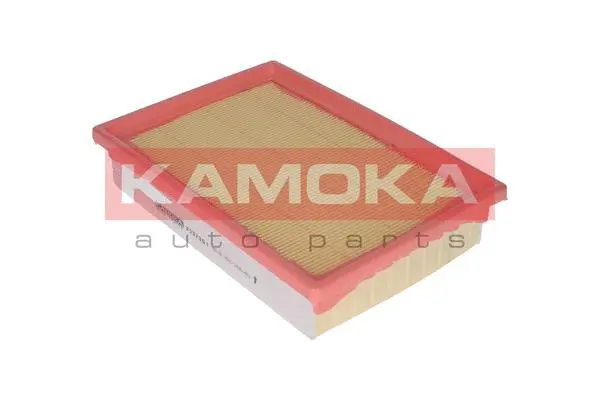 Air Filter (F237301)