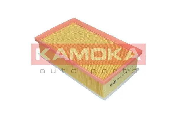 Air Filter (F248501)