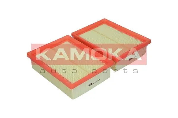 Air Filter (F206601)