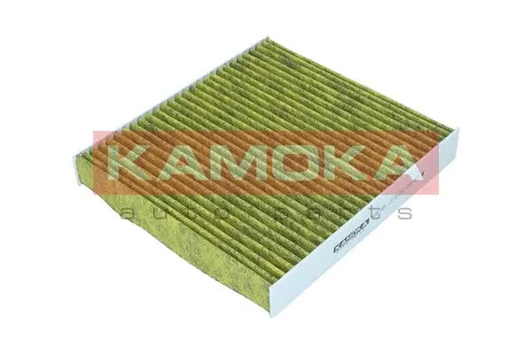 Filter, cabin air (6080105)
