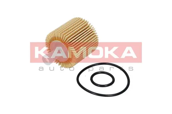 Oil Filter (F112001)