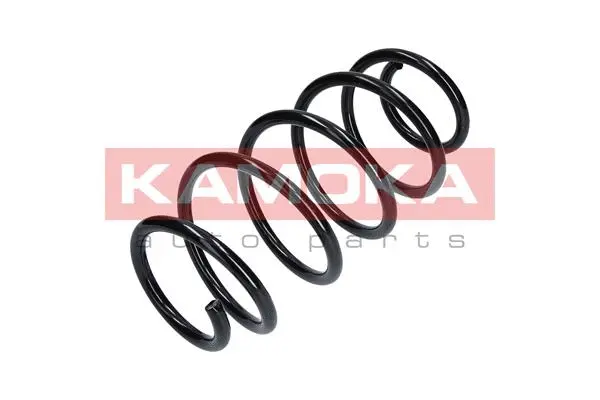 Suspension Spring (2110192)