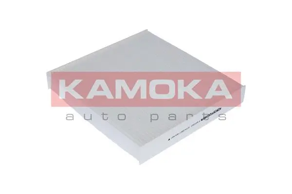 Filter, cabin air (F401001)