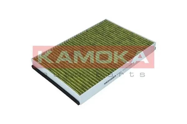 Filter, cabin air (6080030)