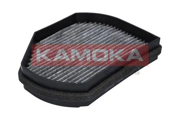 Filter, cabin air (F500601)