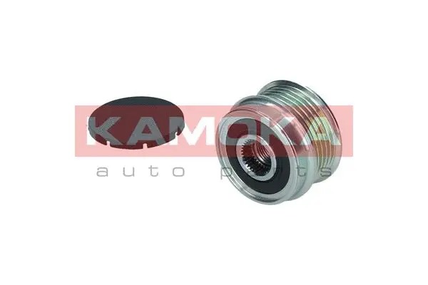 Alternator Freewheel Clutch