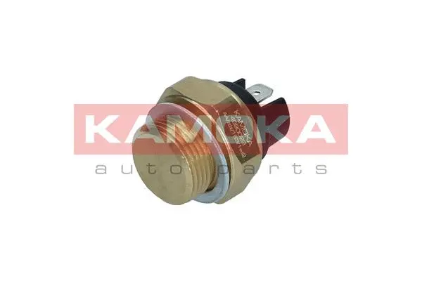 Temperature Switch, radiator fan (4090023)