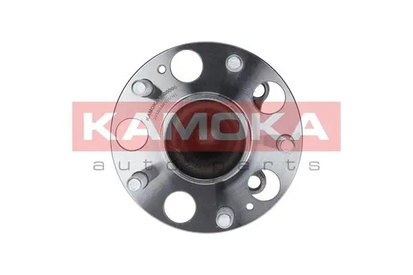 Wheel Bearing Kit (5500096)