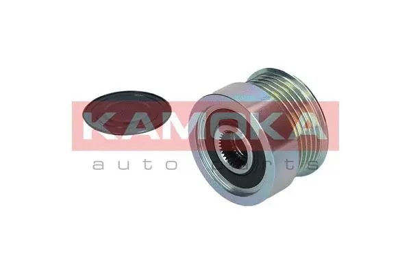 Alternator Freewheel Clutch