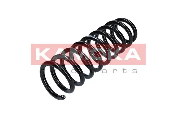 Suspension Spring (2120323)