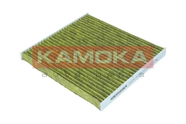 Filter, cabin air (6080156)