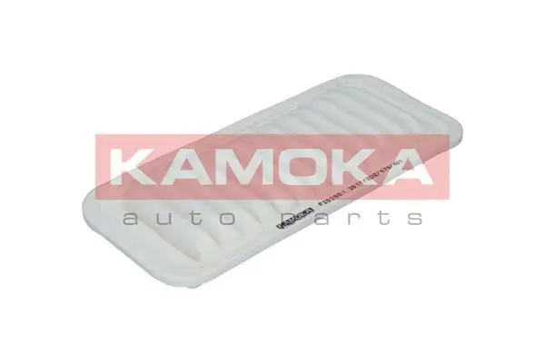 Air Filter (F202801)