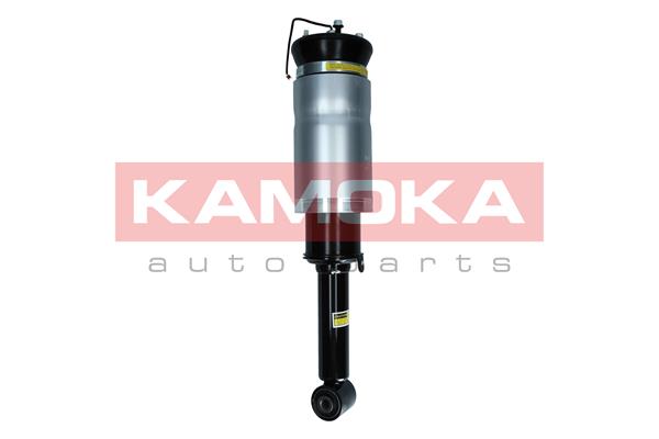 Air Suspension Strut